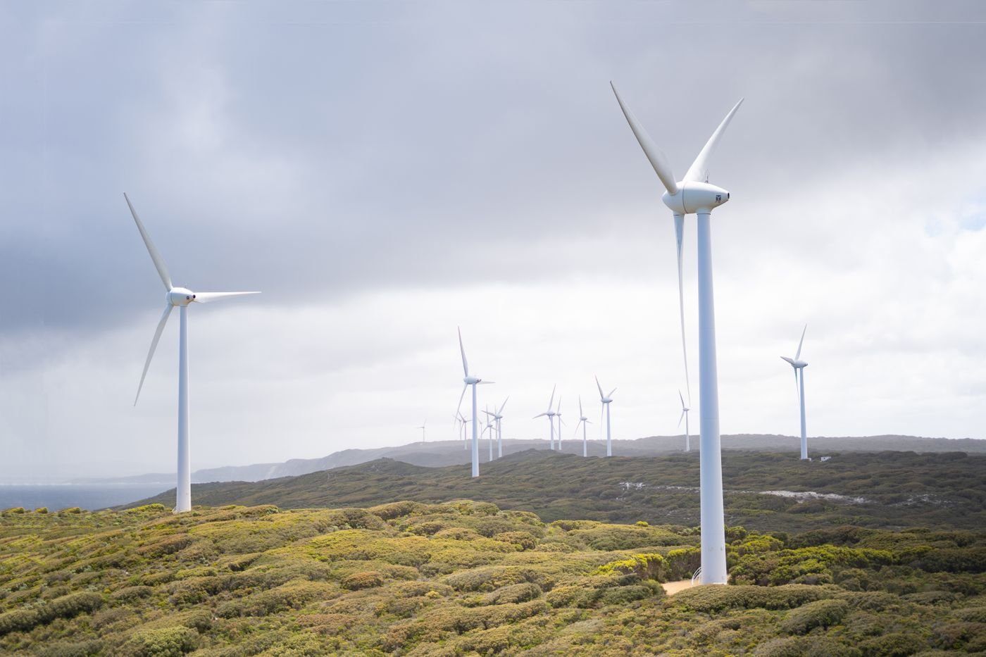 Wind turbines generating renewable energy